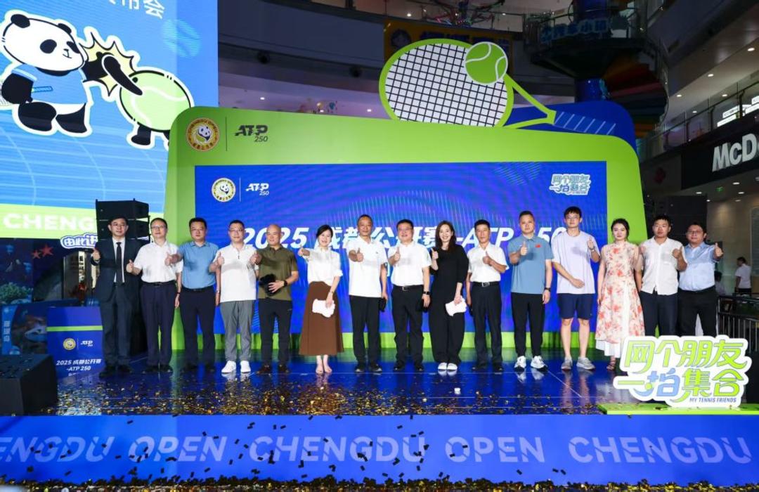 的巴西足球 的巴西足球